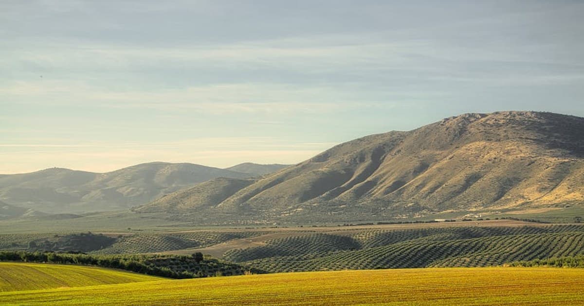 Cannabis Tinctures Explained: How to Use Them and Find the Right Dose