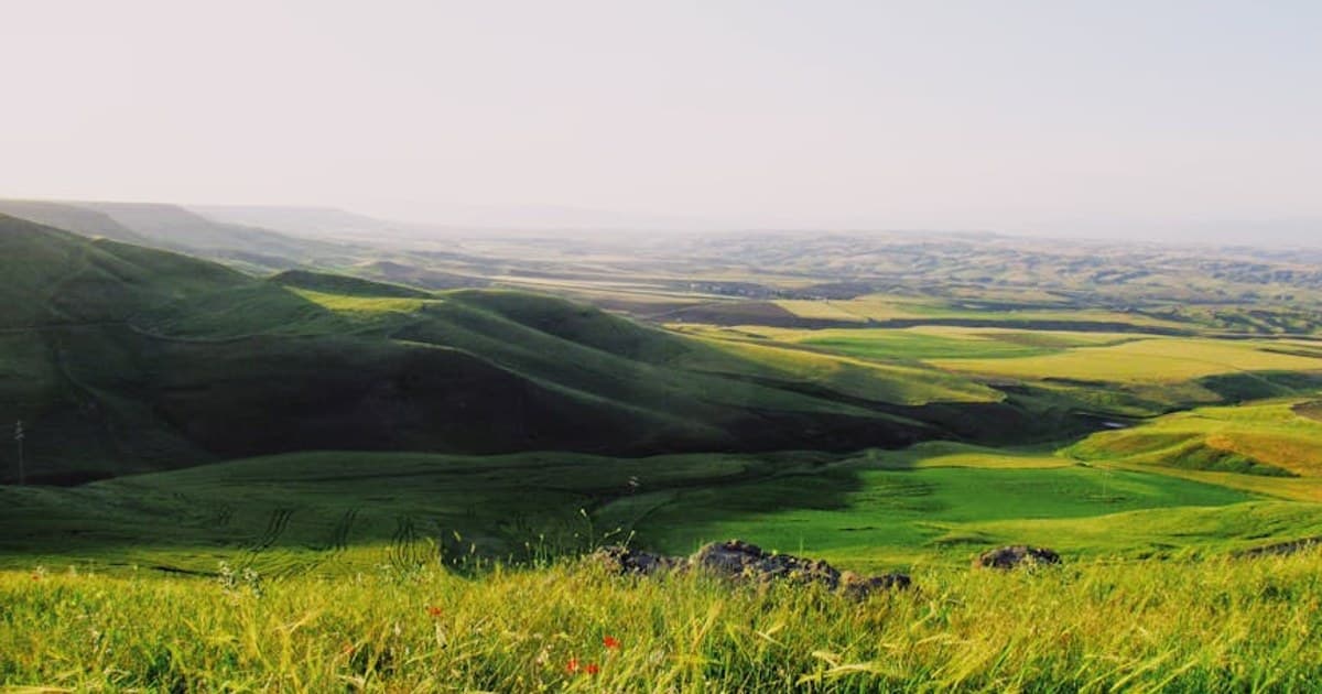 The History of Cannabis: From Ancient Medicine to Modern Legalization