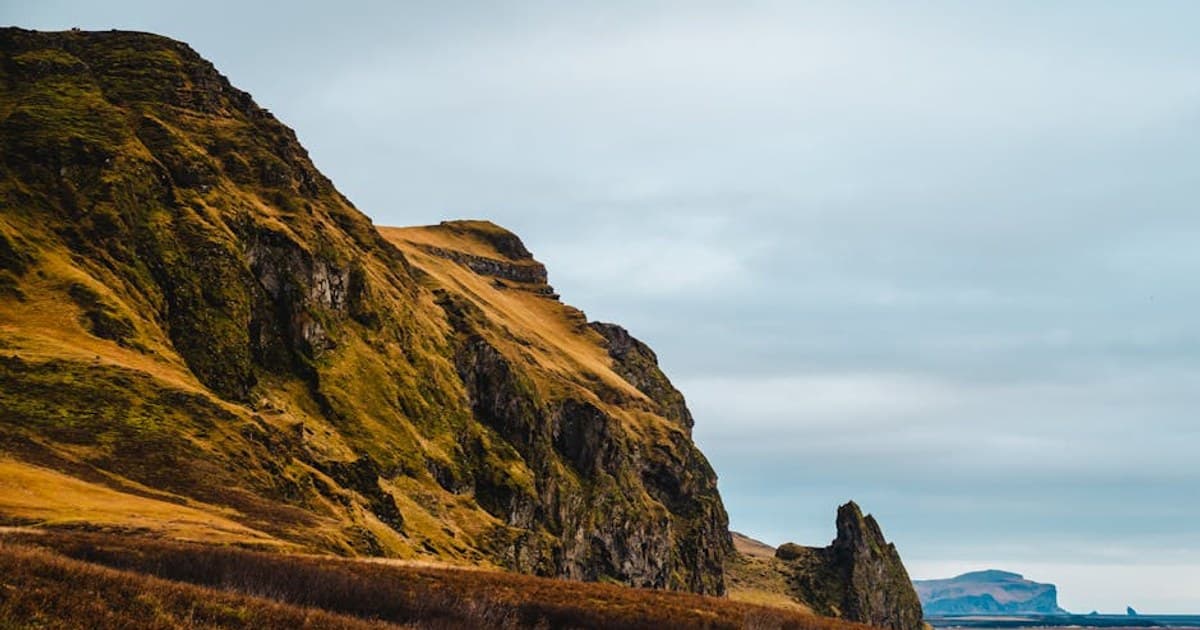 Cannabis Terminology 101: A Glossary of Terms Every Consumer Should Know