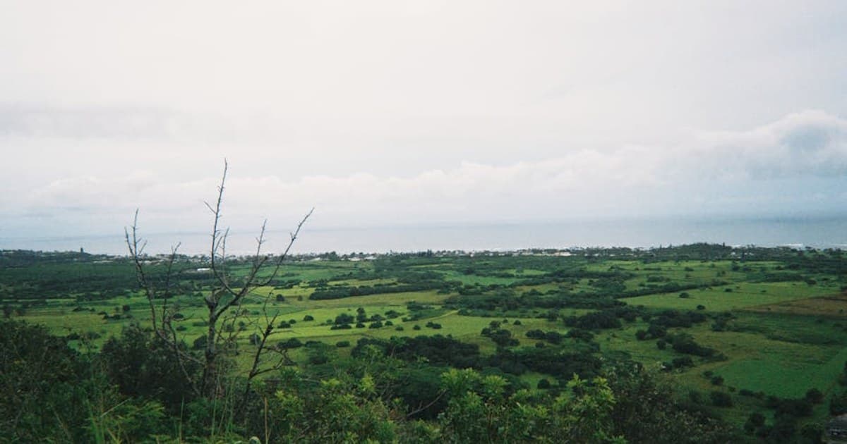 Scenic view of Hawaii's lush green landscape with the ocean in the background.