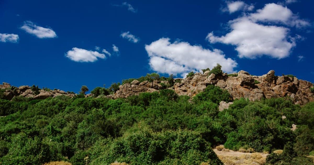 A scenic rocky hill with lush green vegetation under a blue sky with clouds on a summer day.