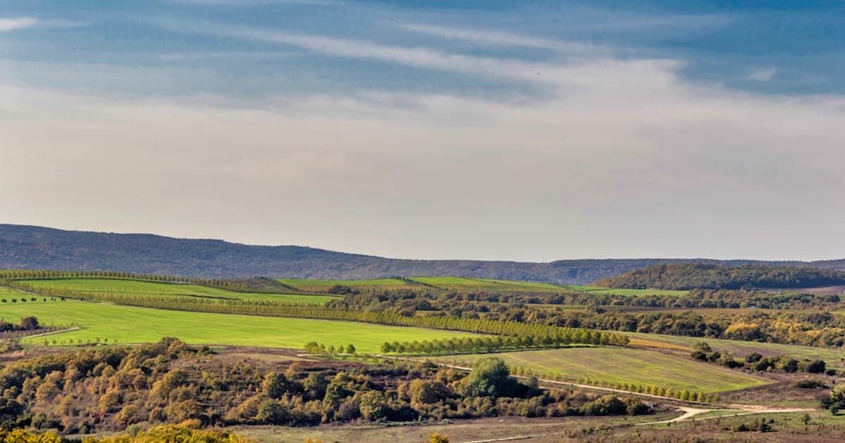 Beautiful view of rolling hills and vibrant green fields under a bright blue sky.
