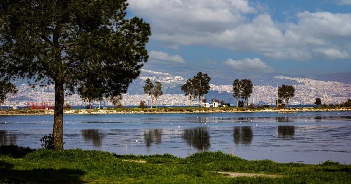 Beautiful landscape of a coastal city with trees, lake, and distant mountains under a blue sky.